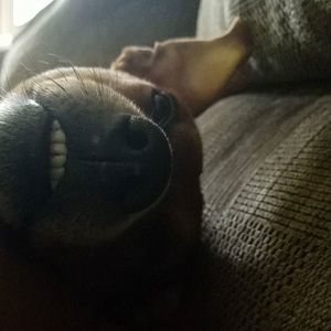 Meet your Posher, Mandy